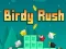 Birdy Rush — bezplatná online hra