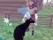 Deer Simulator 3D — 무료 온라인 게임
