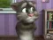 Talking Tom Cat 2 — darmowa gra online