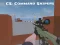 CS: Command Snipers — online hra zdarma