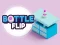 Bottle Flip — bezplatná online hra