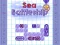 Sea Battleship เกมออนไลน์ฟรี