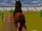 Trò chơi Jumping Horse 3d trực tuyến