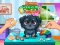 遊戲Funny Puppy Care在線