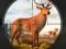Wild Animal Hunting เกมออนไลน์ฟรี