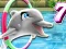 遊戲My Dolphin Show 7在線