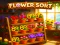 Flower Sort — online hra zdarma