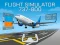 Flight Simulator 737-800 — gratis online game