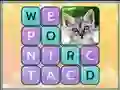 Word Search Pictures เกมออนไลน์ฟรี