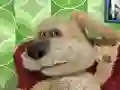 Talking Ben the Dog — 무료 온라인 게임