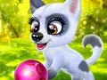 Happy Dog — joc online gratuit