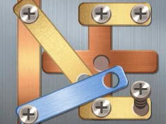 Screw Puzzle — 무료 온라인 게임