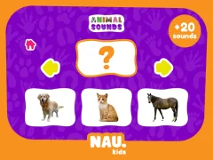 Animal Sounds — online hra zdarma