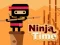 Ninja Time – gratis spill på nett