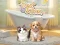 Pet Salon – kostenloses Online-Spiel
