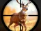Wild Hunting Clash — online hra zdarma