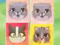 Kitten Match — gioco online gratis