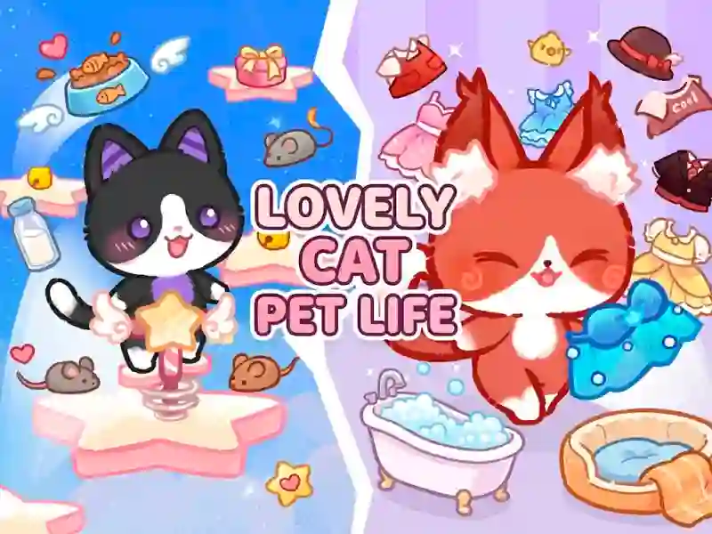 Lovely Cat Pet Life — gioco online gratis