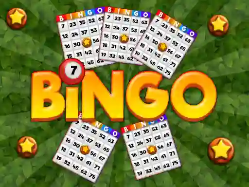 Bingo — online hra zdarma