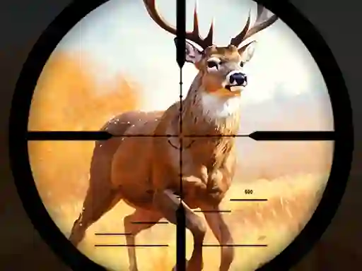 Wild Hunting Clash — online hra zdarma